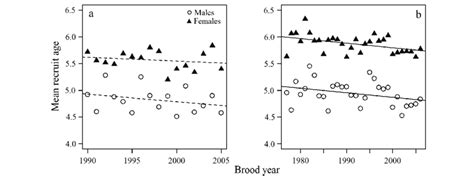 Estimated Average Age At Maturity By Brood Year Cohort For The Chinook