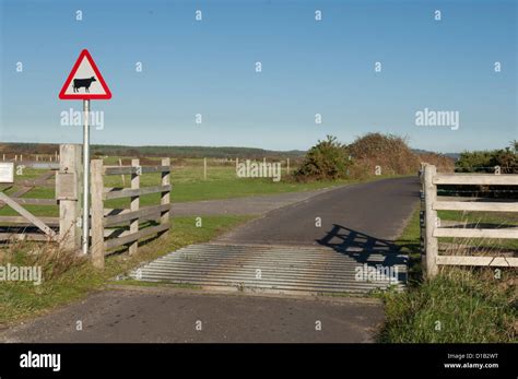 Cattle Grid Sign Hi Res Stock Photography And Images Alamy