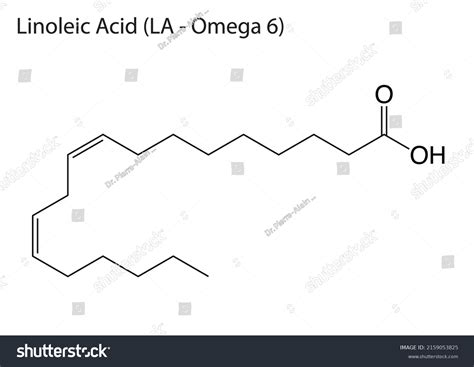 Eps Molecular Structure Linoleic Acid Omega Stock Vector Royalty Free