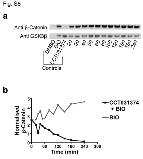 A Useful Approach To Identify Novel Small Molecule Inhibitors Of Wnt