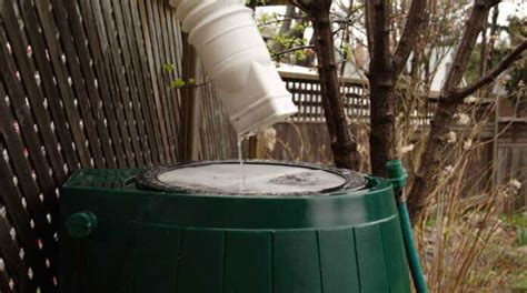 A Guide to Rain Harvesting Systems - WhatIsFullFormOf