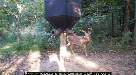 steps  early season whitetail success hunting gear deals