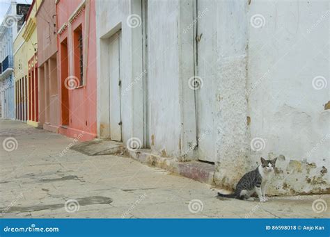 Colorful Brazilian Colonial Houses Stock Photo - Image of city, tourism ...