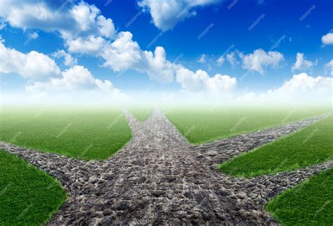 premium photo choosing