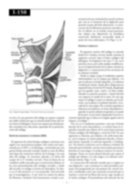 SOLUTION Esofago Anatomia Quirurgica Studypool