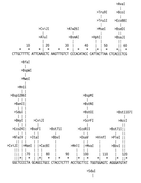 Compositions And Methods For Modulating Tumor Specific Expression