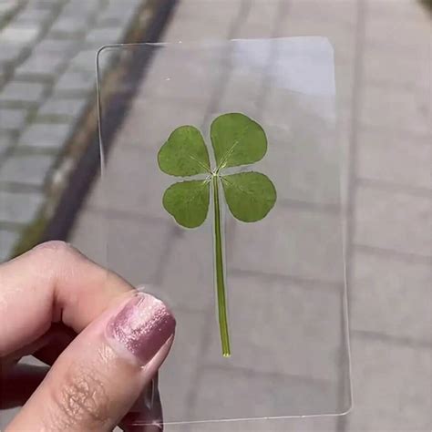 5pcs Lucky Clover Postcards Natural Grass Transparent Wishing Cards