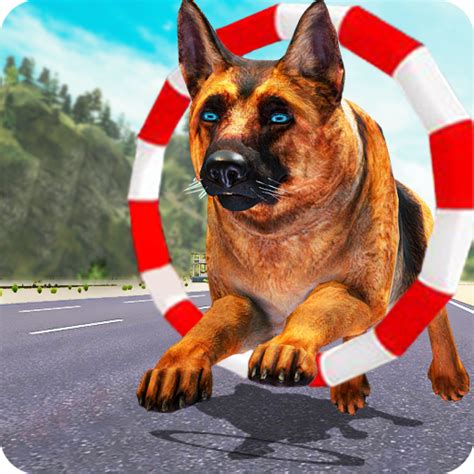 Dog Training: Dog Games - Apps on Google Play