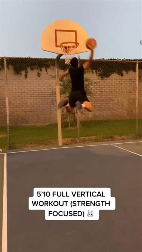 vertical workout | Vertical workout, Basketball workouts, Jump higher ...