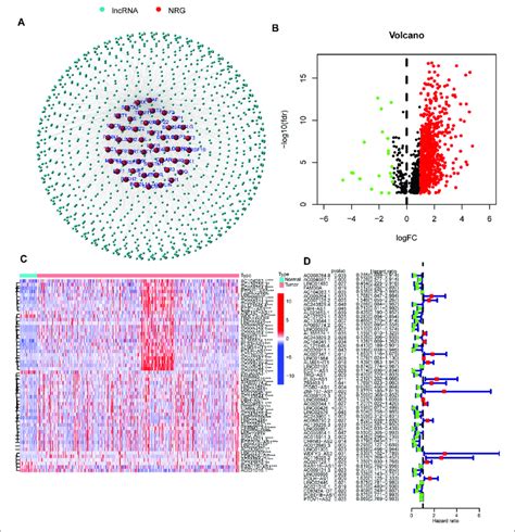 Necroptosis Related LncRNA Prognostic Signature Identified In HNSCC