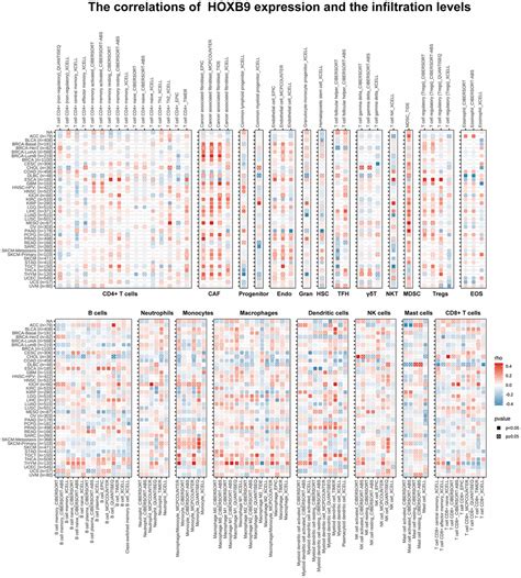 Pan Cancer Analysis Of Homeobox B As A Predictor For Prognosis And