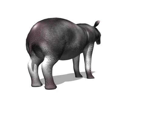 3d Prehistoric Tapir Megatapirus