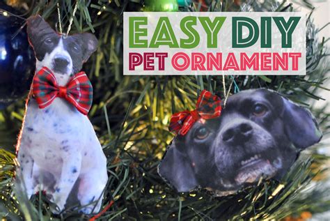 How to Make an Easy DIY Pet Ornament - The Broke Dog