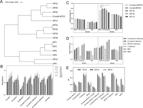 A Similarity Upgama Tree Of Box Pcr Patterns Of 5 Bacterial Strains