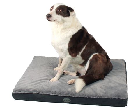 Matelas mémoire de forme pour chien Zolia Nixon 2 tailles disponibles