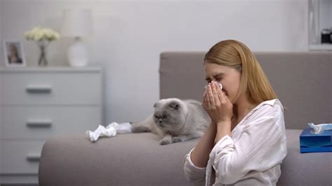 Cat allergy: a vaccine candidate tested on humans - Ace Mind