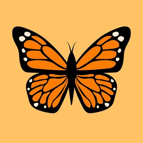 Premium Vector | Butterfly illustration. Vector graphic of orange ...