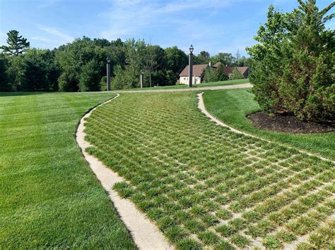 Sustainable Paving Systems, LLC | LinkedIn