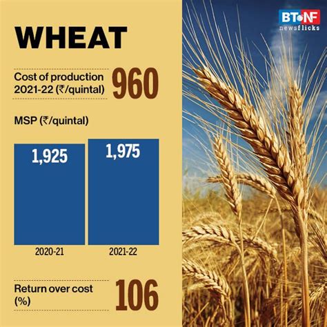 Cabinet Approves Increase In Minimum Support Prices For Rabi Crops Bt