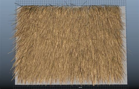 Thatched Roof Texture