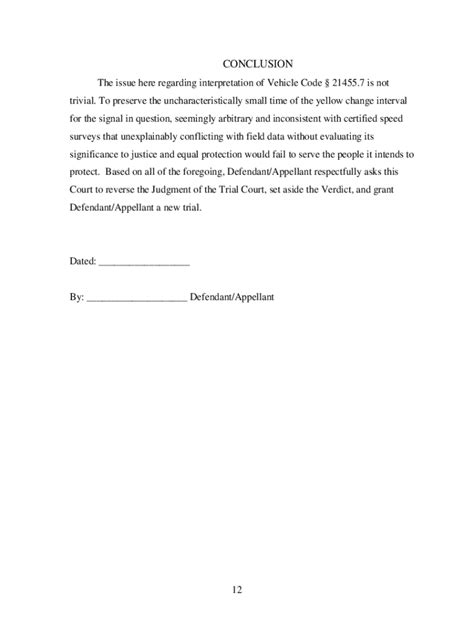 Appellate Brief Template Tutore Org Master Of Documents