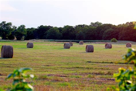 oklahoma hay field  stock photo public domain pictures