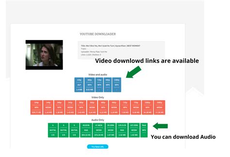 Youtube Video Downloader 1080p Hd Free Download Entire Tools