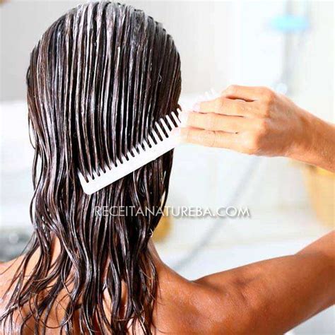 Hidratação Para Cabelo Ressecado Receita Natureba