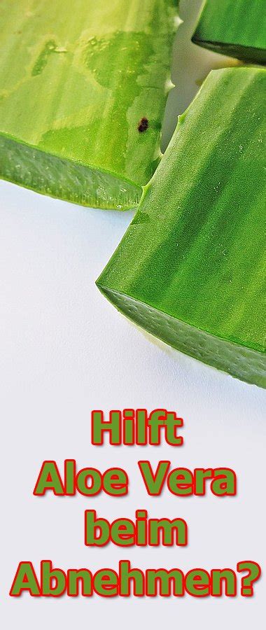 Hilft Aloe Vera Beim Abnehmen Fem Lifestyle