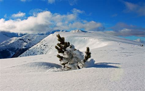 Parco Nazionale Della Majella Vivere L Abruzzo