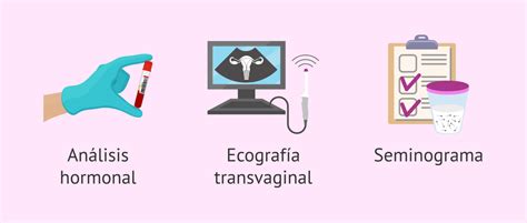 Es Mejor El Coito Programado O La Inseminaci N Artificial Ia