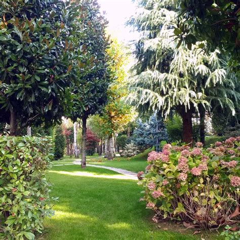 Giardino In Zona Temperata Nel Nord Italia Con Piante Mediterranee Che