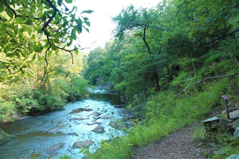 Here Are 29 Arkansas Swimming Holes That Will Make Your Summer Memorable