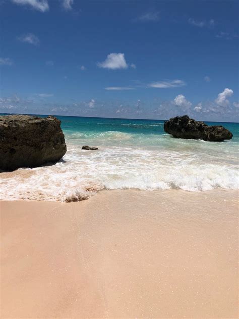 Horseshoe Beach, Bermuda | Scenery pictures, Beach, Scenery