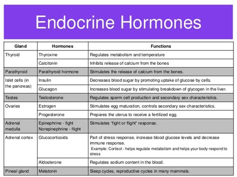 What Are Endocrine Glands Identify Chief Endocrine Glands The