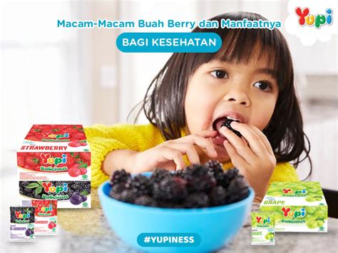 15 Jenis Buah Berry Dan Manfaat Untuk Kesehatan Yupi