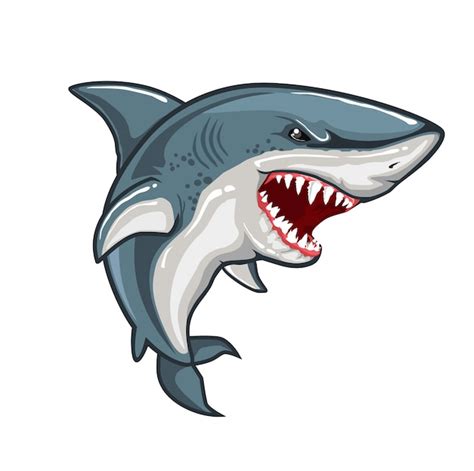 Premium Vector | Angry shark