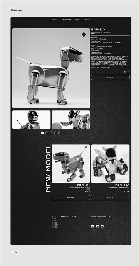 AIBO - store website on Behance