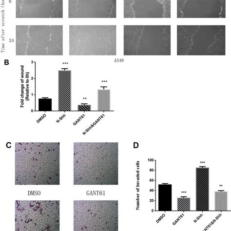 Akt Inhibition Reduces Cell Invasion And Emt In Nsclc Cell Lines A