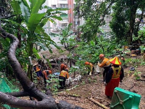 新北本土登革熱增14例 擴大篩檢找出潛藏8例