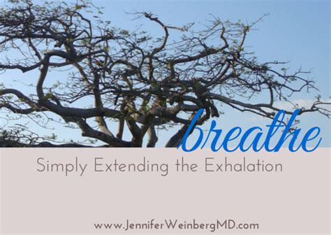 Relax & Calm with Extending the Exhalation - Dr. Jennifer L. Weinberg ...