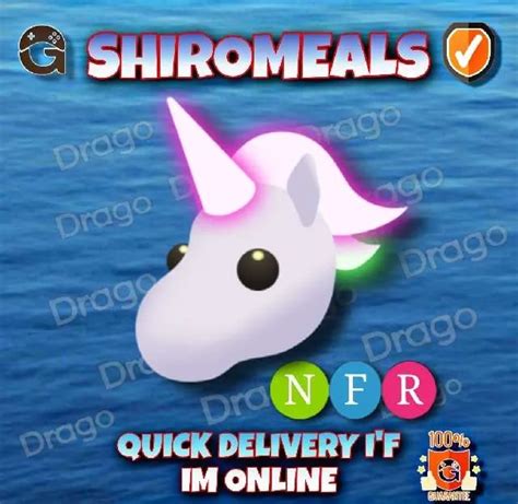 Pet Nfr Unicorn Game Items Gameflip