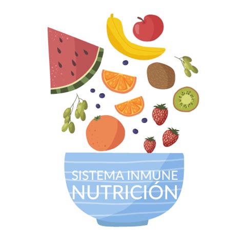 La Importancia De La Alimentación En El Sistema Inmune Vero Training