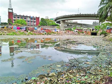 Tazul For Removing Stagnant Water To Eliminate Aedes Mosquito The Asian Age Online Bangladesh