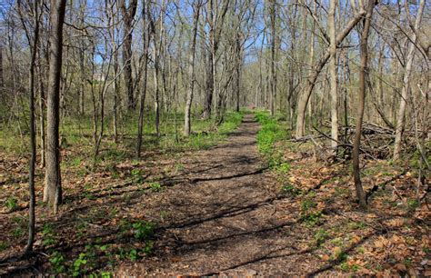 St. Louis trail in Missouri image - Free stock photo - Public Domain ...