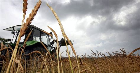 Traktor Soll Mercedes Beim Berholen Bei Zweibr Cken Gen Tigt Haben