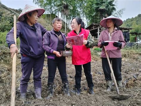 深入学习宣传贯彻党的二十大精神 新桥乡：宣讲走进田间地头 “土”味十足~ 头版头条 中国泰宁在线