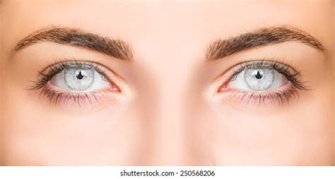 Grey Eyes Stock Photos and Pictures - 1,265,190 Images | Shutterstock