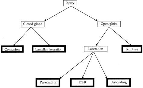 Birmingham Eye Trauma Terminology BETT Terminology And