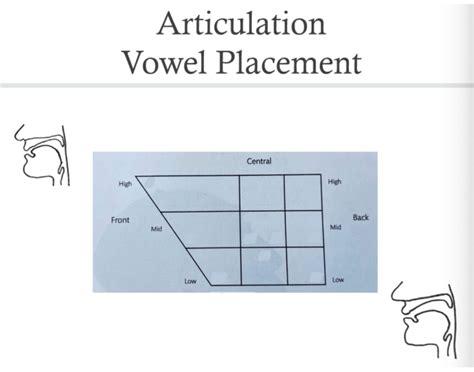 Articulation Vowel Placement Quiz